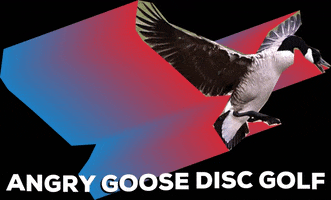Angry Goose Disc Golf GIF