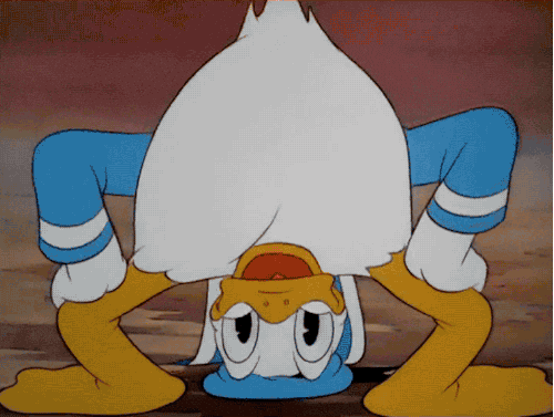 donald duck disney GIF