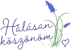 Hala Koszonom Sticker by poppádesign