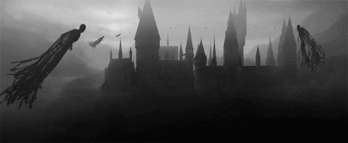 Harry Potter G GIFs - Get the best GIF on GIPHY