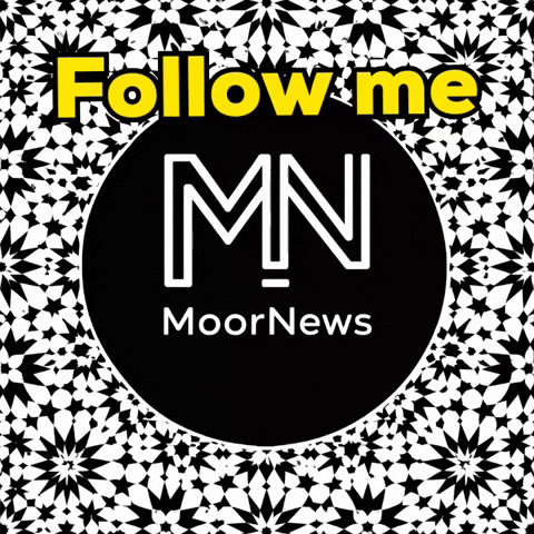 Follow Me Instagram GIF