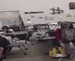 Fight Bunny GIF