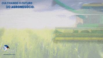 Agro Soja GIF by Pantanal