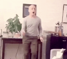 Max Rose Dancing GIF by GIPHY News