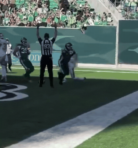 Sam Cfl GIF