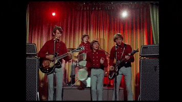 Davy Jones Fun GIF by The Monkees