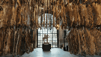 Museo Nazionale Romano Terme Di Diocleziano GIF