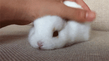 Baby Chilling GIF