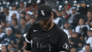 White Sox Yes GIF by Chicago White Sox