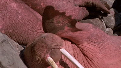 wave hello GIF