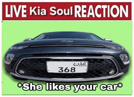 Kiasoul GIF
