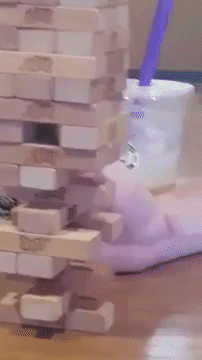 sexy jenga girls gif sexy jenga girls gif