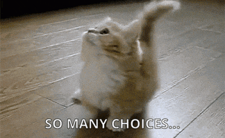 Which One Choices GIF