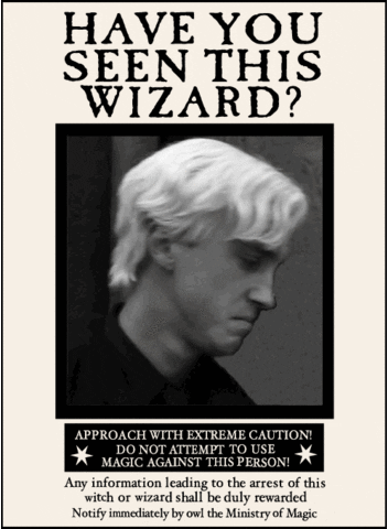 Draco Malfoy Witch GIF