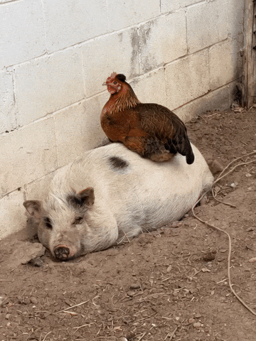 Sleepy Friends With Benefits GIF by The LSD Hotel