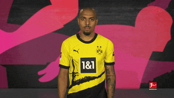 Borussia Dortmund Swipe GIF by Bundesliga