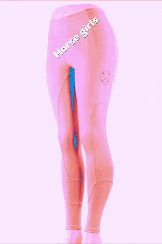 Freerideequestrian GIF