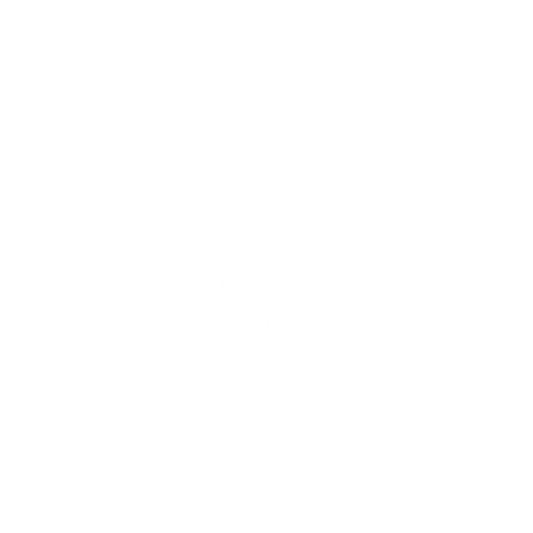 Fnv Sticker by Félag kvenna í atvinnulífinu í Danmörku