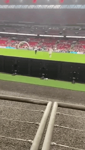 Euro Cup Soccer GIF by Storyful