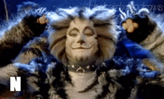 cats the musical no GIF