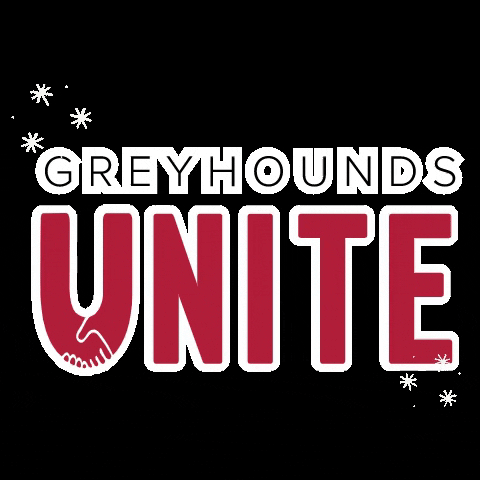Unite Greyhounds GIF by University of Indianapolis