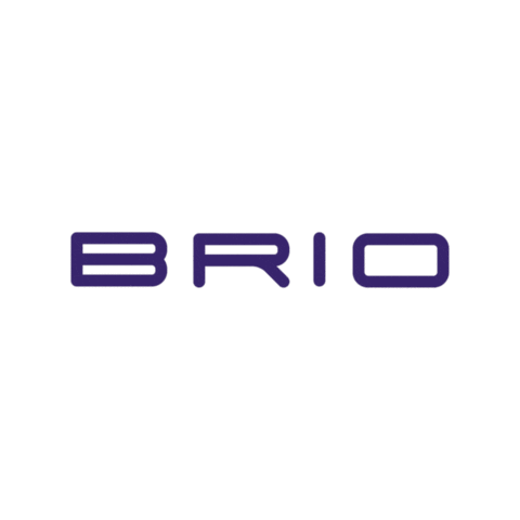 BTC_BRIO Sticker