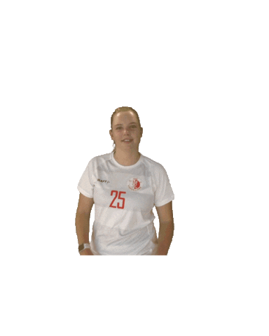 UHC Visper Lions Sticker