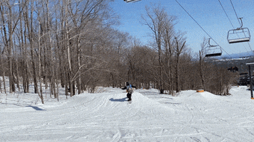 Jib Snowboarding GIF by Elevated Locals