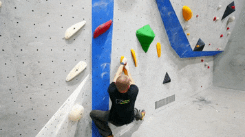 Griffwerk Klettern GIF