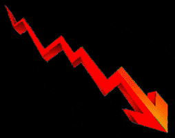 Punt Immobiliari Premià GIF