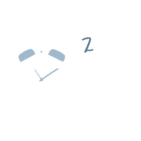 Little Z's Sleep Sticker