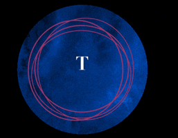 Danielle x Design Co GIF