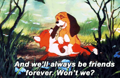 the fox and the hound GIF