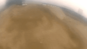 colm2305  GIF