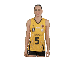Vakıfbanksk Sticker by VakıfBank Spor Kulübü