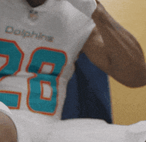 Miami Football GIF by Miami Dolphins