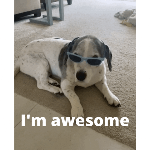 YourHappyWorkplace sunglasses too cool your happy workplace im awesome GIF