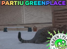 Cat Skating GIF by Greenplace TV