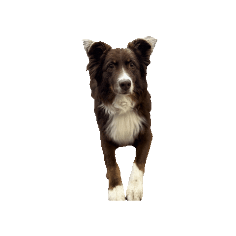 Sticker by Lanzerathbau