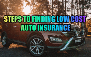 Insurance GIF