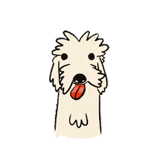 Frijolperro Sticker