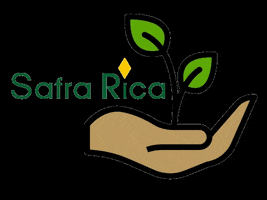 Agro GIF by Safra Rica