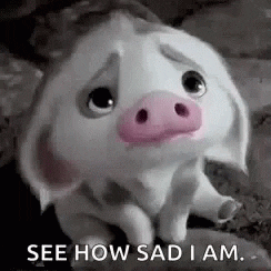 A pig becomes increasingly droopy with the captions "See how sad I am" under him.