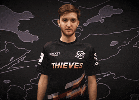Proud E Sports GIF by 100 Thieves