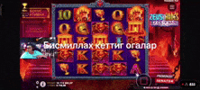 Hazilkash GIF