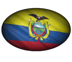 MIRELLA CESA Sticker