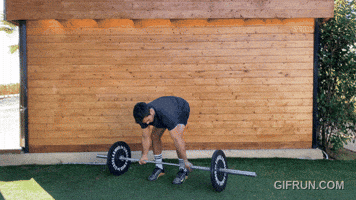 Barbell Supinated Bent Over Row GIF