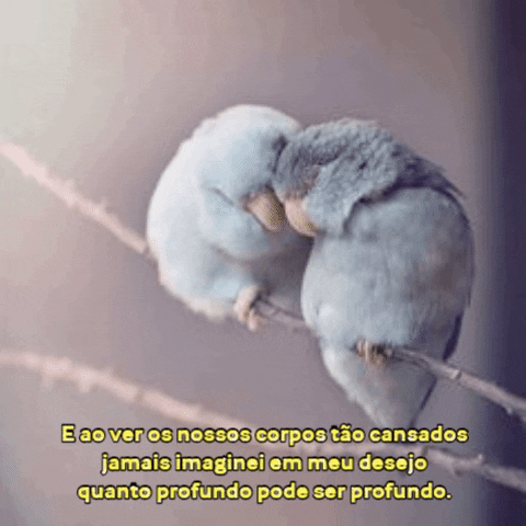 Amor GIF