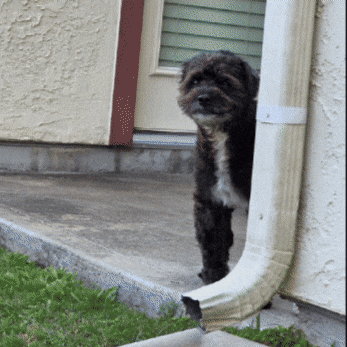 Casper GIF
