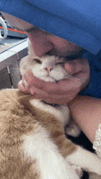 200.gif?cid=fc005b08b56576ba8b39ea59350ea1559e027387483b955c&rid=200.gif&ct=g